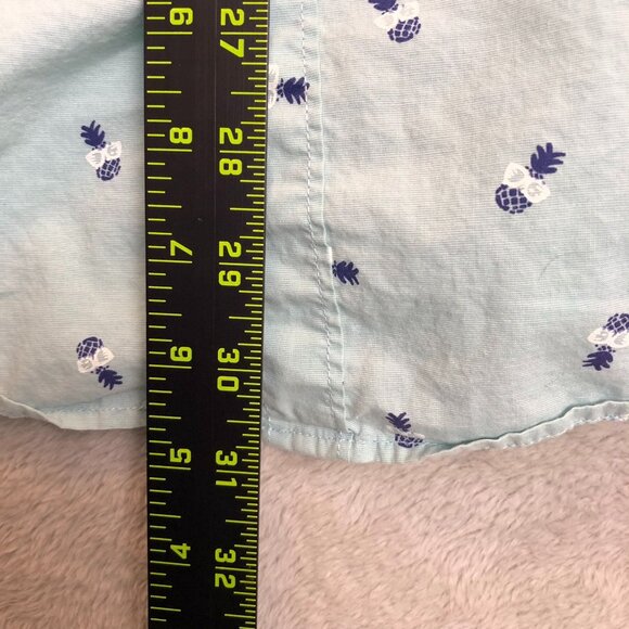 American Eagle Outfitters Mens Shirt XXL Long Sleeve Pineapple Button Up Blue - Picture 3 of 11